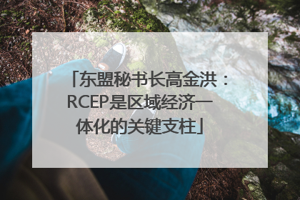 东盟秘书长高金洪：RCEP是区域经济一体化的关键支柱