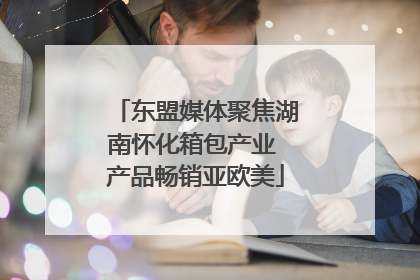 东盟媒体聚焦湖南怀化箱包产业 产品畅销亚欧美