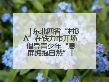 东北四省“村BA”在铁力市开场 倡导青少年“息屏拥抱自然”