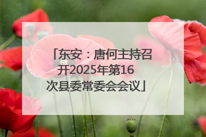 东安：唐何主持召开2025年第16次县委常委会会议