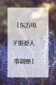 东方电子重要人事调整