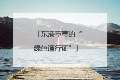 东港草莓的“绿色通行证”