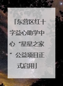 东营区红十字益心助学中心“星星之家”公益项目正式启用