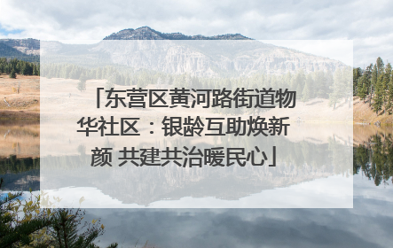 东营区黄河路街道物华社区：银龄互助焕新颜 共建共治暖民心