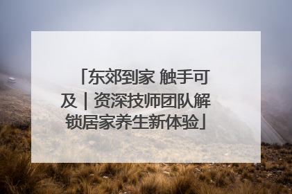 东郊到家 触手可及｜资深技师团队解锁居家养生新体验