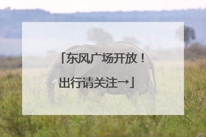东风广场开放！出行请关注→