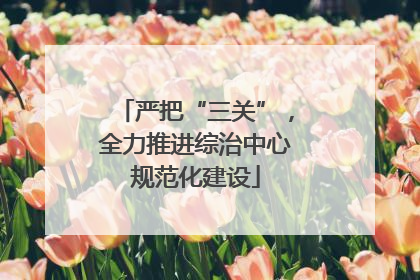 严把“三关”，全力推进综治中心规范化建设