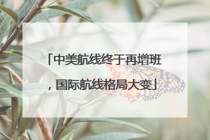 中美航线终于再增班，国际航线格局大变