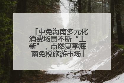 中免海南多元化消费场景不断“上新”，点燃夏季海南免税旅游市场