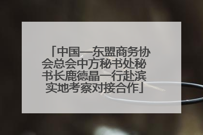 中国—东盟商务协会总会中方秘书处秘书长鹿德晶一行赴滨实地考察对接合作