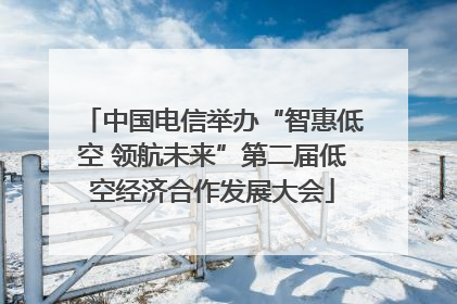 中国电信举办“智惠低空 领航未来”第二届低空经济合作发展大会