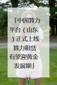 中国算力平台（山东）正式上线 算力租赁有望迎黄金发展期