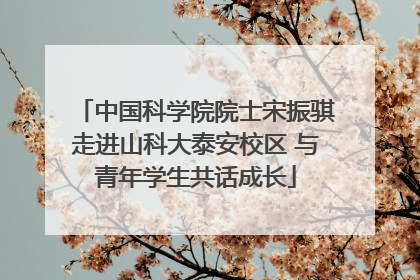 中国科学院院士宋振骐走进山科大泰安校区 与青年学生共话成长