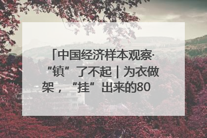 中国经济样本观察·“镇”了不起｜为衣做架，“挂”出来的80亿元“衣架产业”