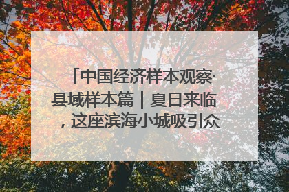 中国经济样本观察·县域样本篇｜夏日来临，这座滨海小城吸引众多年轻人打卡……