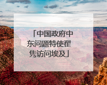 中国政府中东问题特使翟隽访问埃及