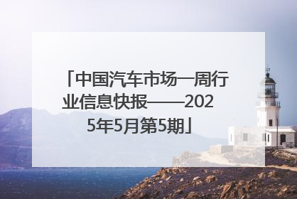 中国汽车市场一周行业信息快报——2025年5月第5期