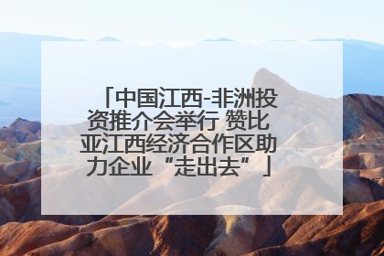 中国江西-非洲投资推介会举行 赞比亚江西经济合作区助力企业“走出去”