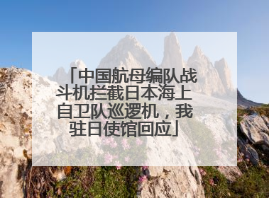 中国航母编队战斗机拦截日本海上自卫队巡逻机，我驻日使馆回应