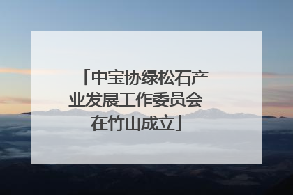 中宝协绿松石产业发展工作委员会在竹山成立