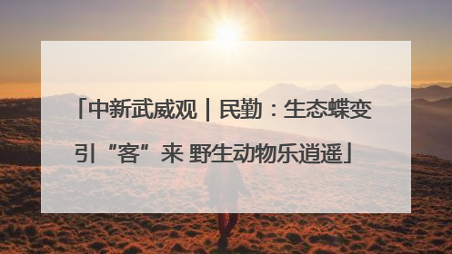 中新武威观｜民勤：生态蝶变引“客”来 野生动物乐逍遥