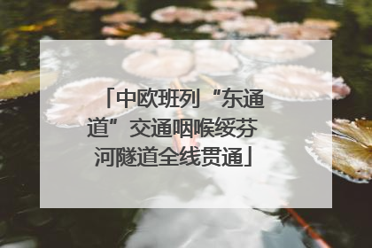 中欧班列“东通道”交通咽喉绥芬河隧道全线贯通