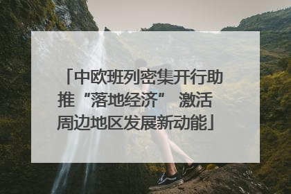 中欧班列密集开行助推“落地经济” 激活周边地区发展新动能