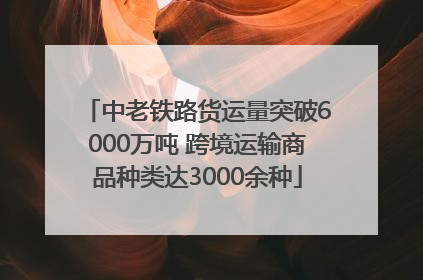 中老铁路货运量突破6000万吨 跨境运输商品种类达3000余种