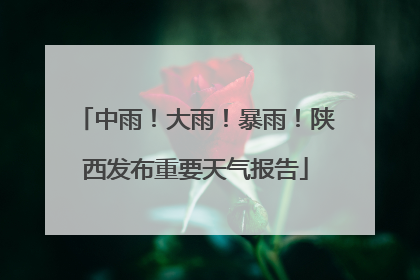 中雨！大雨！暴雨！陕西发布重要天气报告