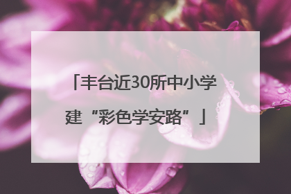 丰台近30所中小学建“彩色学安路”