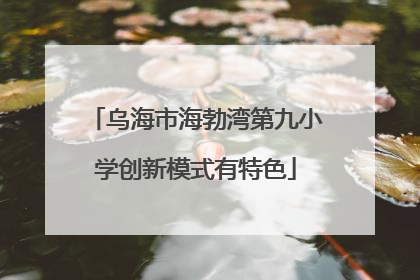 乌海市海勃湾第九小学创新模式有特色