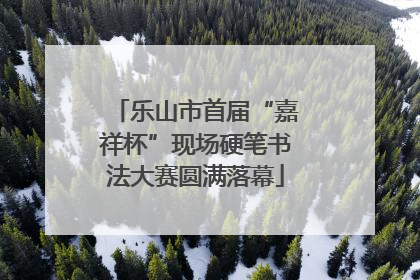 乐山市首届“嘉祥杯”现场硬笔书法大赛圆满落幕