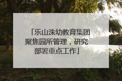 乐山洙幼教育集团聚焦园所管理，研究部署重点工作