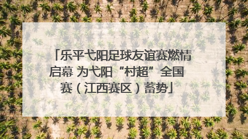 乐平弋阳足球友谊赛燃情启幕 为弋阳“村超”全国赛（江西赛区）蓄势