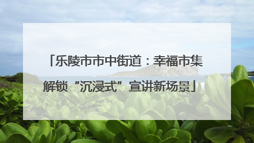 乐陵市市中街道：幸福市集解锁“沉浸式”宣讲新场景