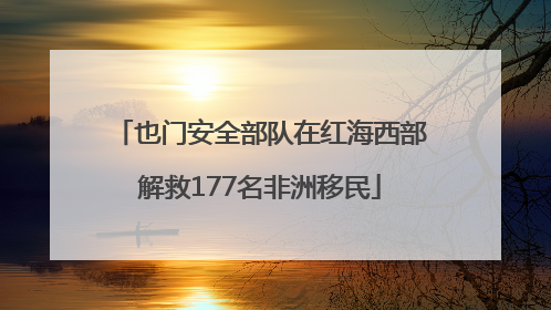 也门安全部队在红海西部解救177名非洲移民