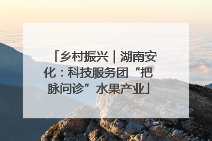 乡村振兴｜湖南安化：科技服务团“把脉问诊”水果产业