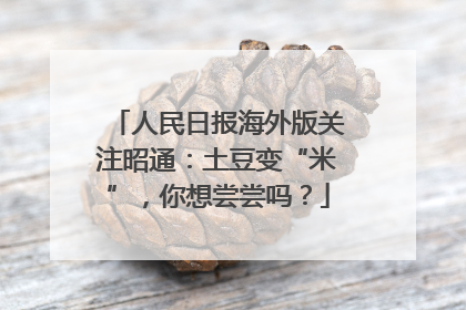 人民日报海外版关注昭通：土豆变“米”，你想尝尝吗？
