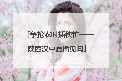 争抢农时插秧忙——陕西汉中夏播见闻