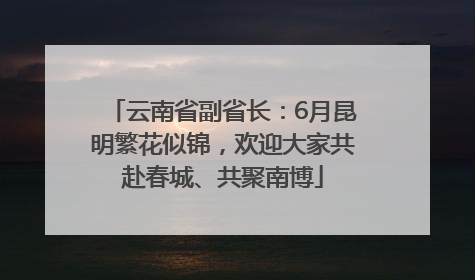 云南省副省长：6月昆明繁花似锦，欢迎大家共赴春城、共聚南博