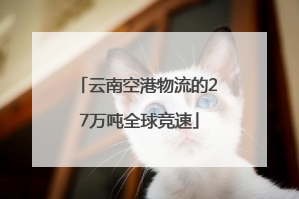 云南空港物流的27万吨全球竞速