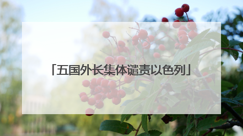 五国外长集体谴责以色列