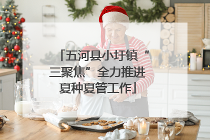 五河县小圩镇“三聚焦”全力推进夏种夏管工作