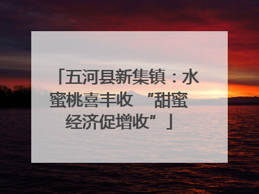 五河县新集镇：水蜜桃喜丰收 “甜蜜经济促增收”