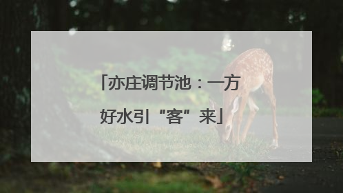 亦庄调节池：一方好水引“客”来