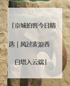 京城拍客今日精选｜风过麦浪香 白塔入云端