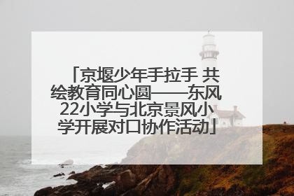 京堰少年手拉手 共绘教育同心圆——东风22小学与北京景风小学开展对口协作活动