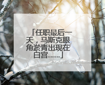 任职最后一天，马斯克眼角淤青出现在白宫……
