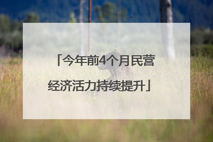 今年前4个月民营经济活力持续提升