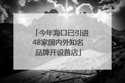 今年海口已引进48家国内外知名品牌开设首店